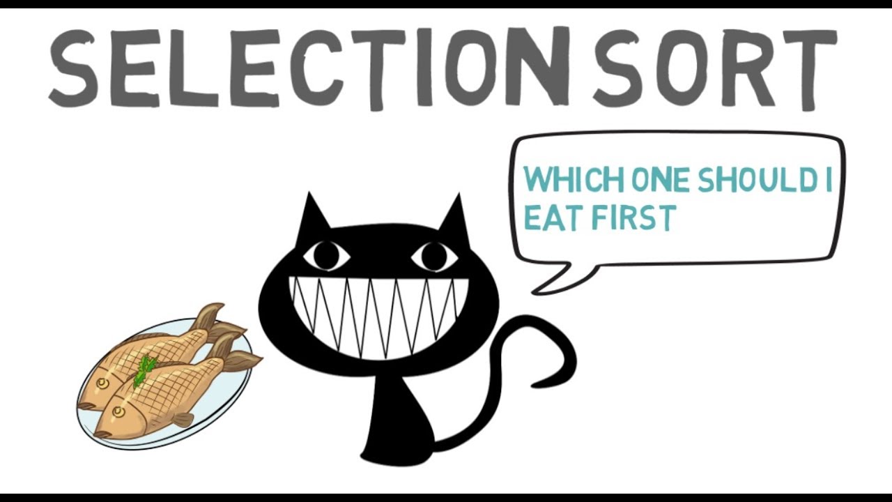 Selection Sort Algorithm