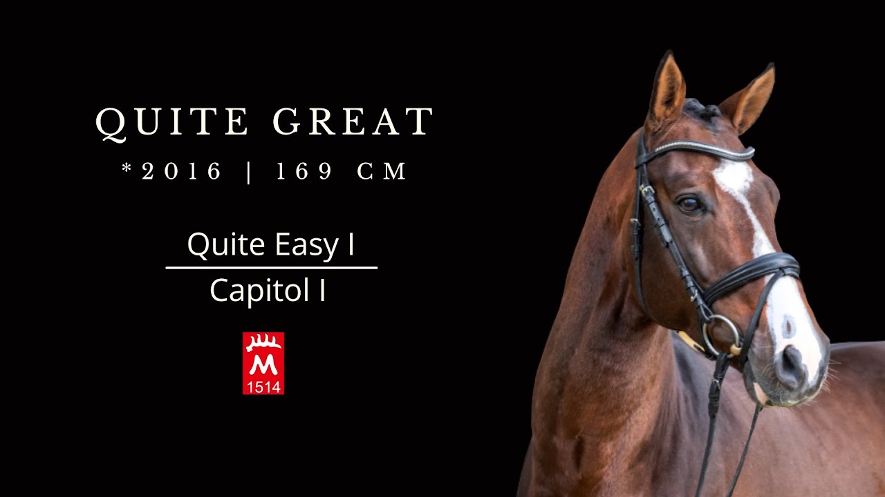 Quite Great *2016 v. Quite Easy I - Capitol I