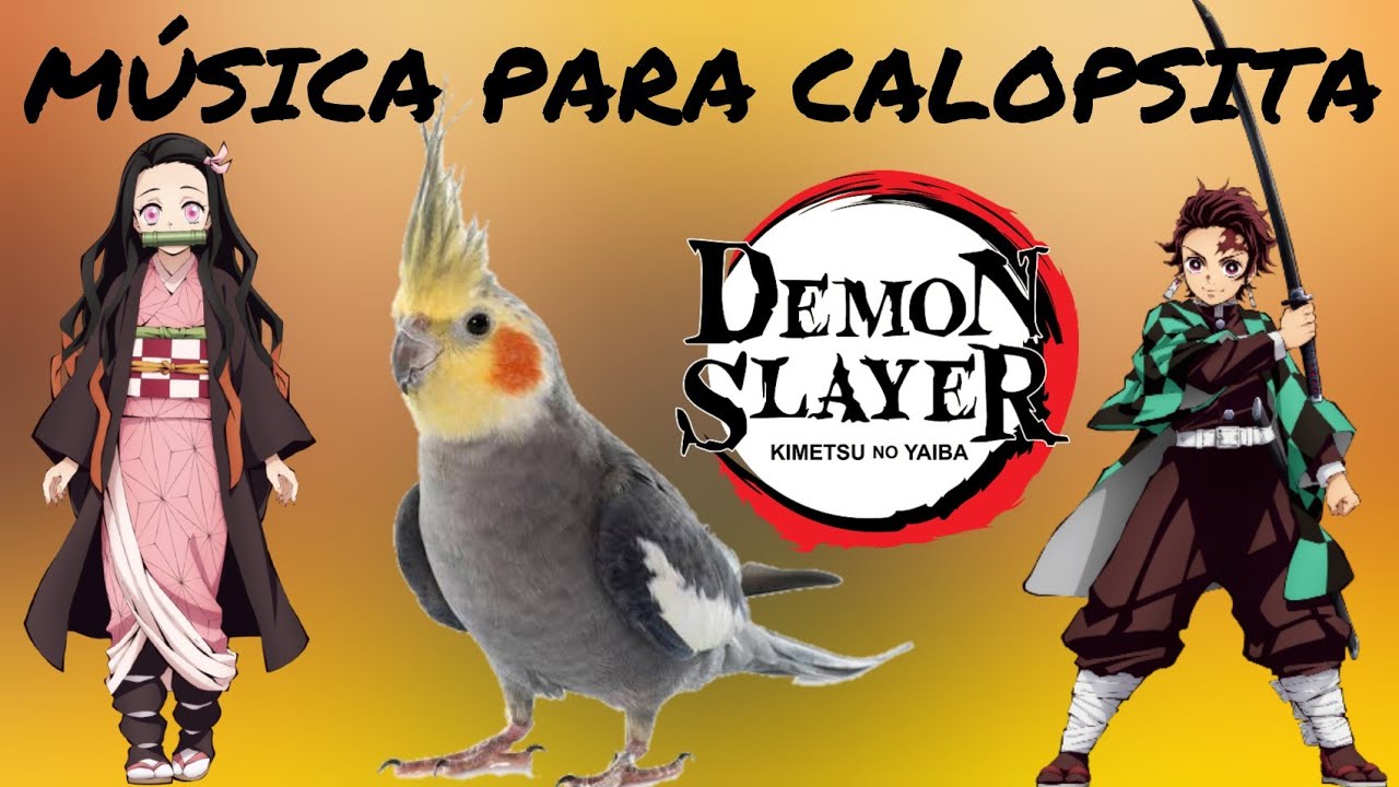 MÚSICA PARA CALOPSITA - KIMETSU NO YAIBA - DEMON SLAYER - COCKATIEL SOUNDS