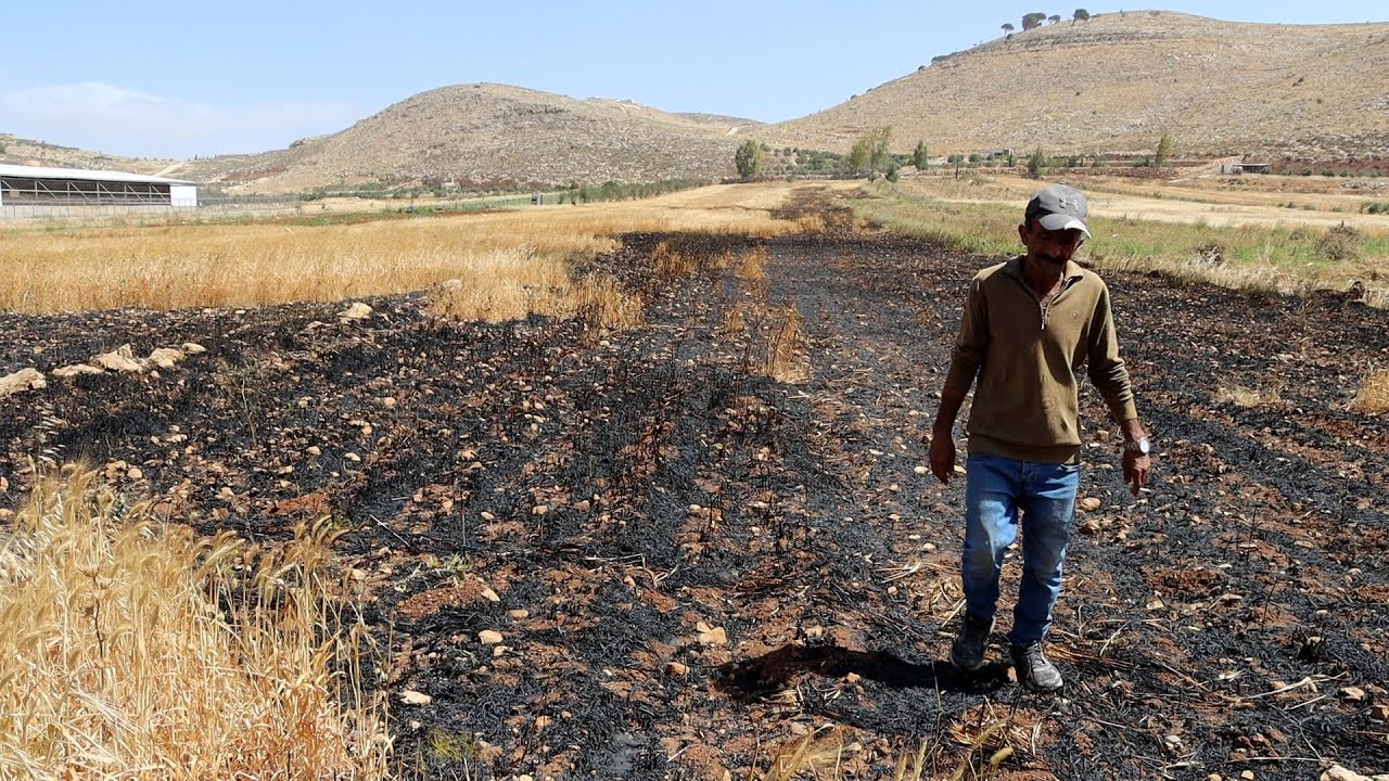 مستعمرون يحرقون أراضي زراعية بين قريتي المغير وأبو فلاح شمال شرق رام الله