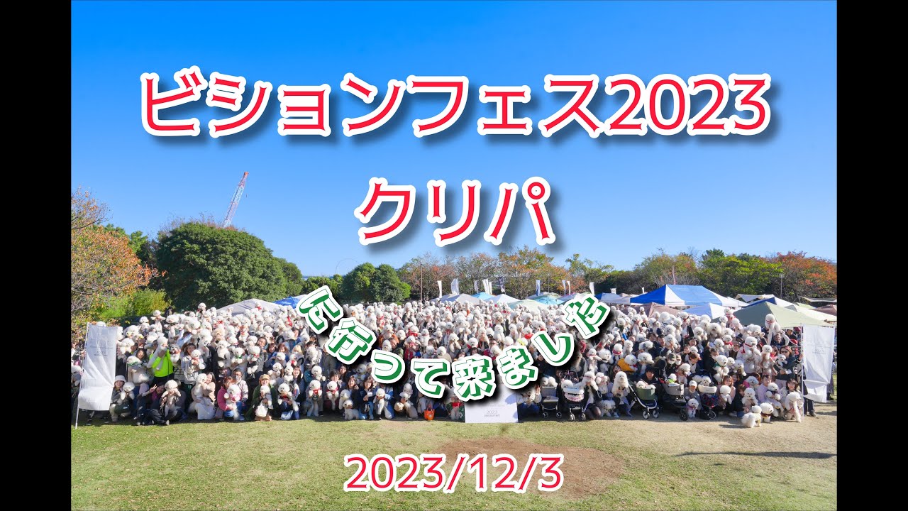 ビションフリーゼフェスティバル2023クリスマスパーティー🎄に行って来ました #東京2