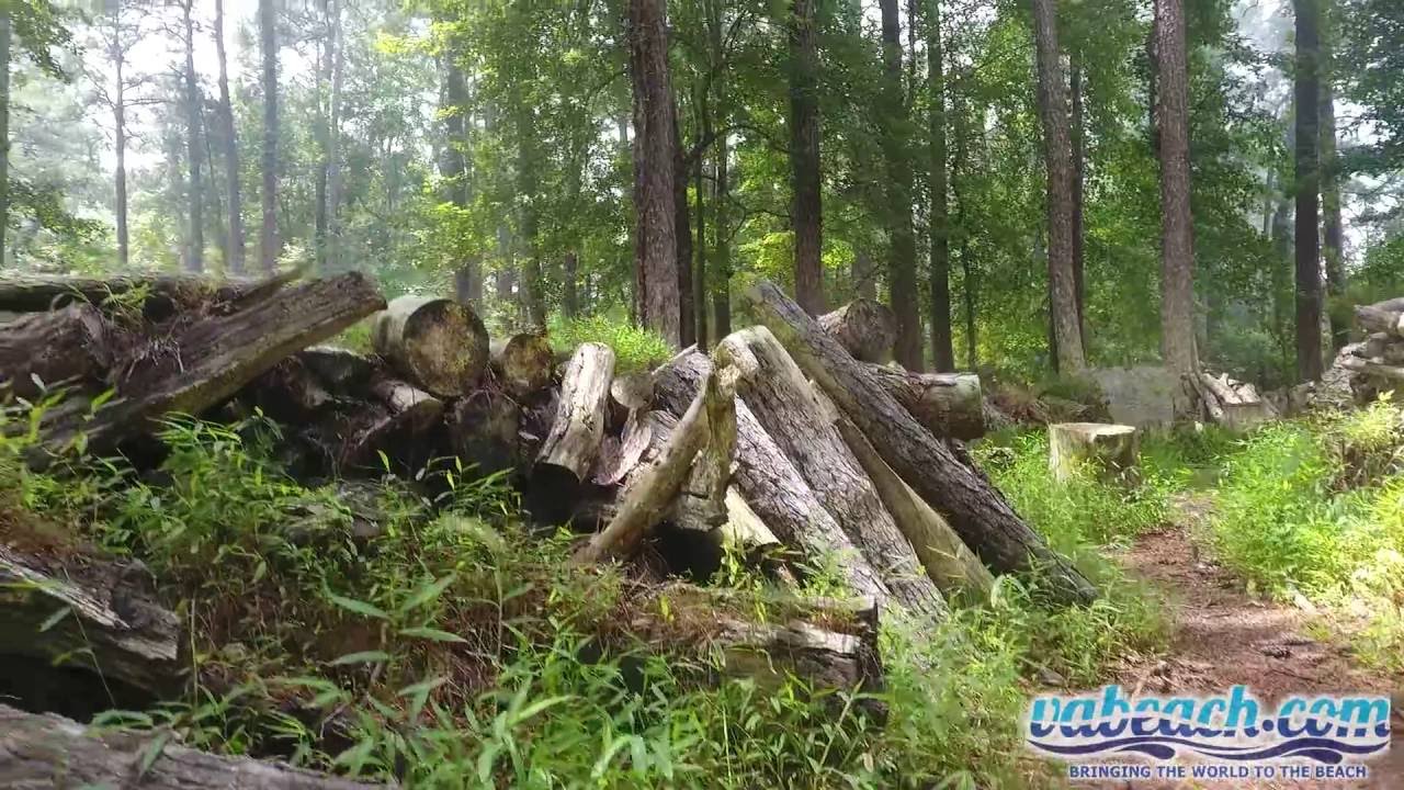 Virginia Beach - Adventure Sports Park - 2016 - www.vabeach.com