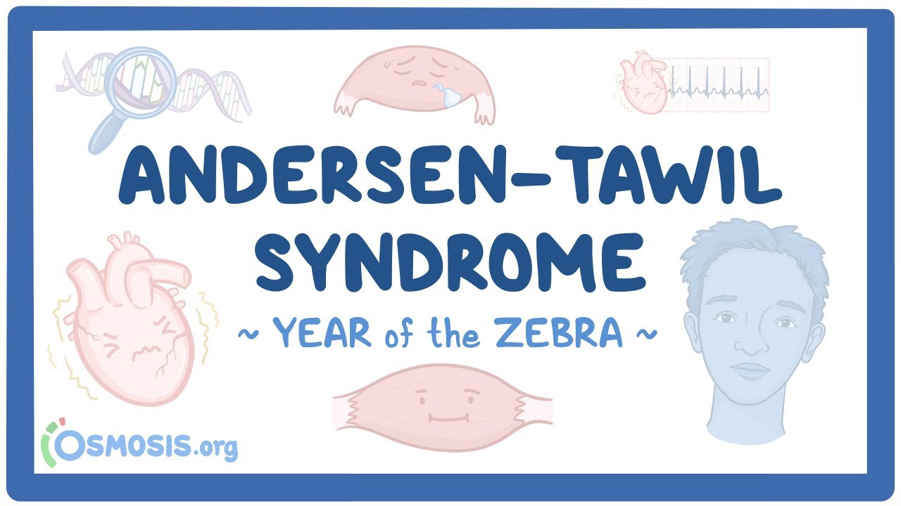 Andersen-Tawil syndrome (Year of the Zebra 2025)