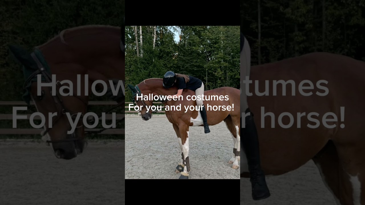 Halloween costume ideas for your horse! #halloween #equestrian #edit #reels #yourhorse #4urpage