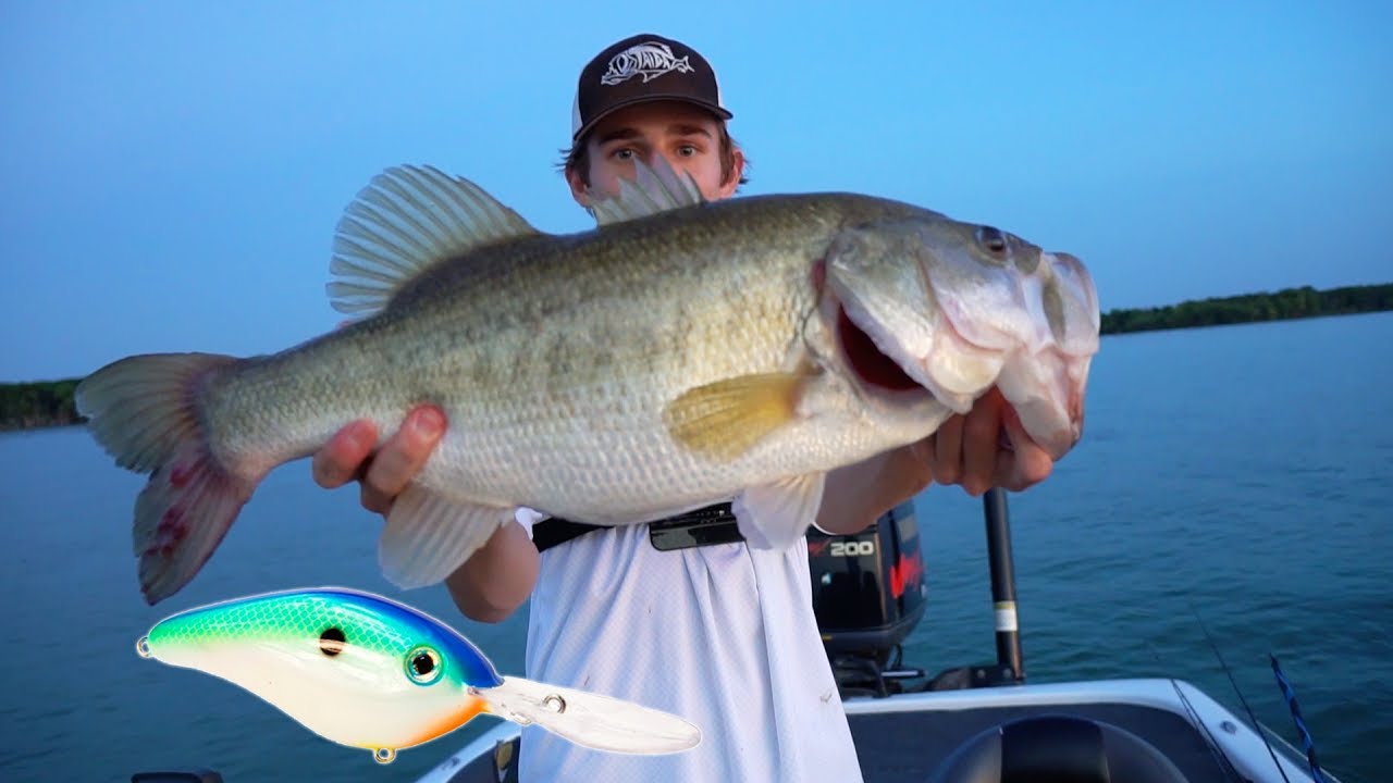 Deep Cranking BIG Summer Bass