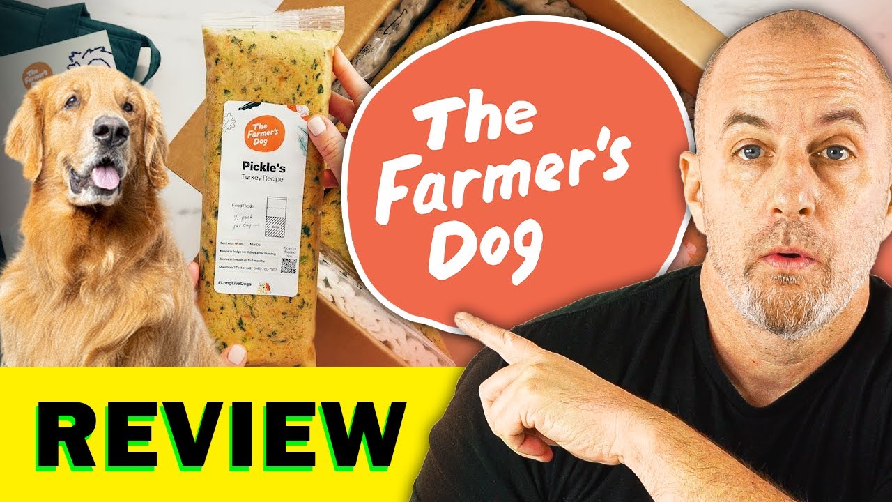 The Farmer&rsquo;s Dog Review | WE TRIED IT &mdash; Here&rsquo;s the Hidden Truth!