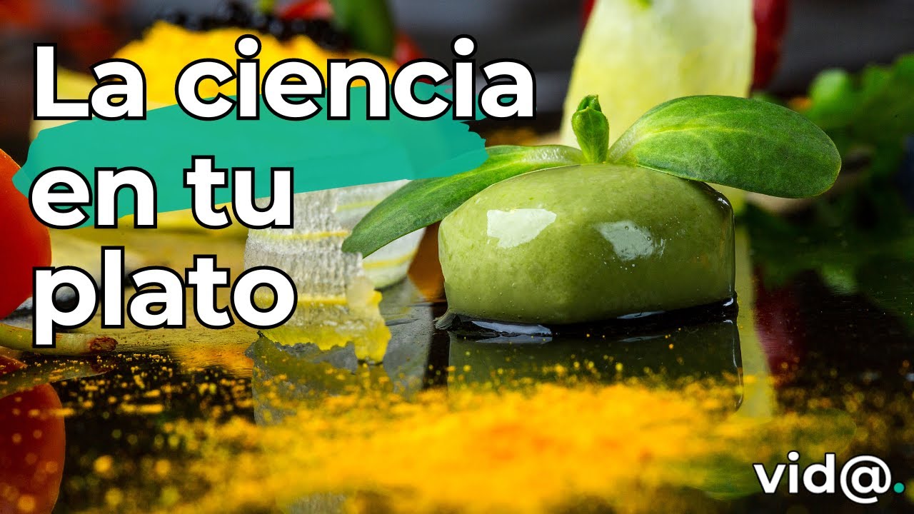 &iexcl;Sorprendente! Cocina Molecular: La Ciencia que Revoluciona la Cocina #VidaTV #cocina