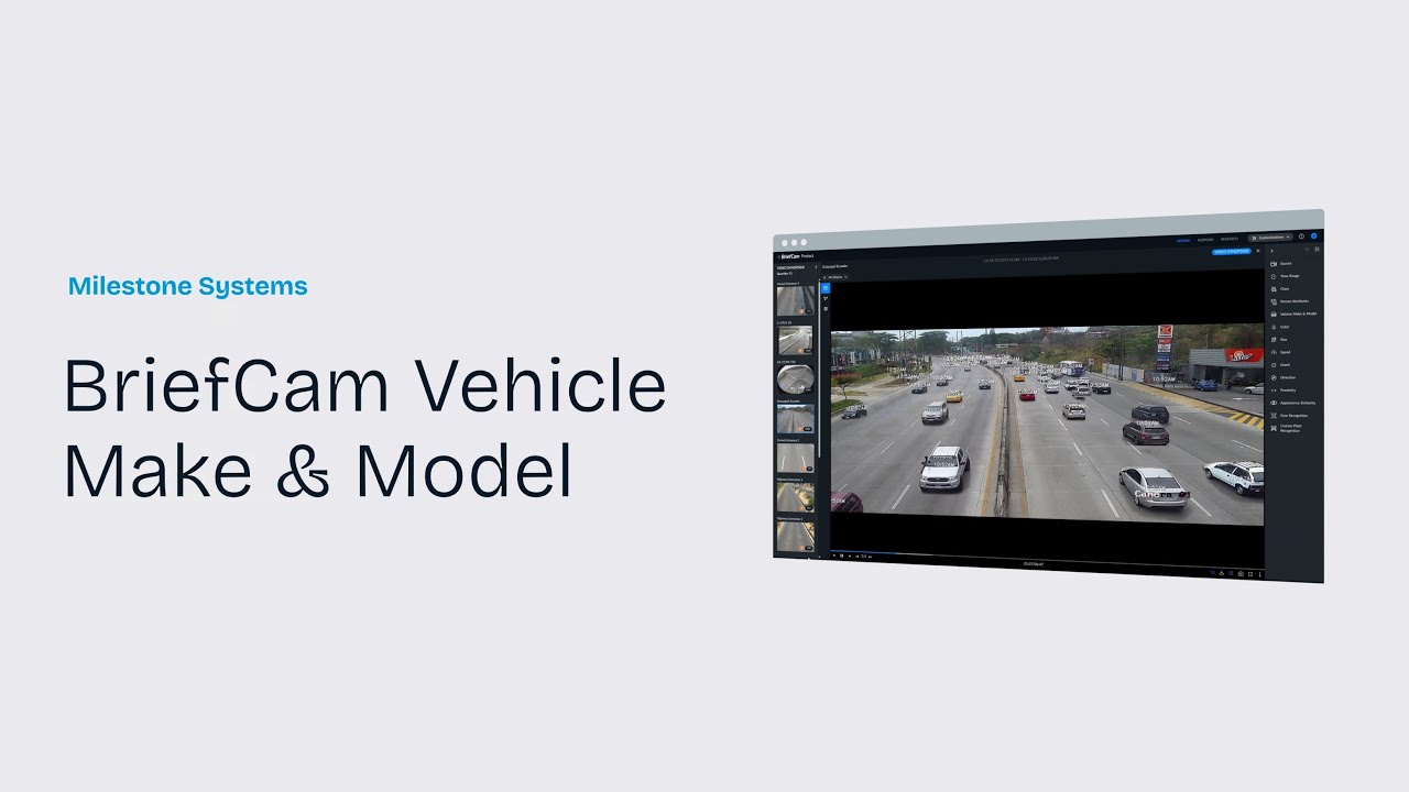 BriefCam Vehicle Make & Model