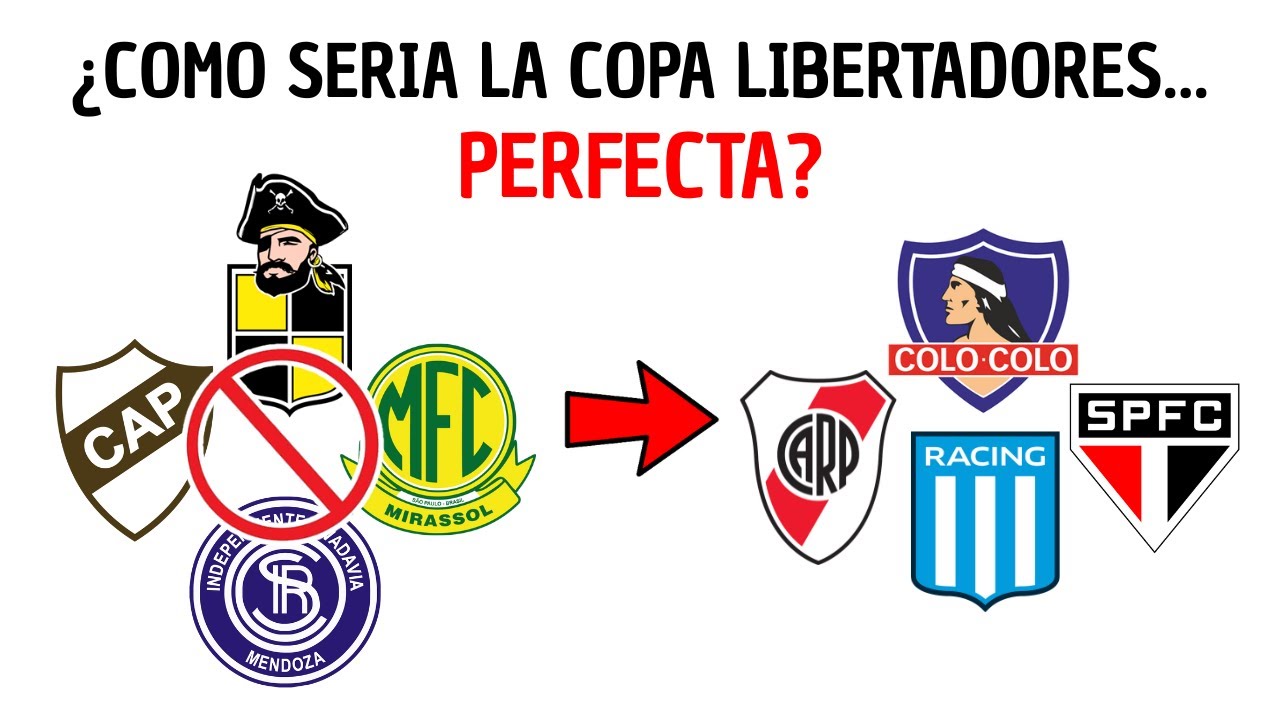 ¿COMO SERIA la COPA LIBERTADORES PERFECTA?
