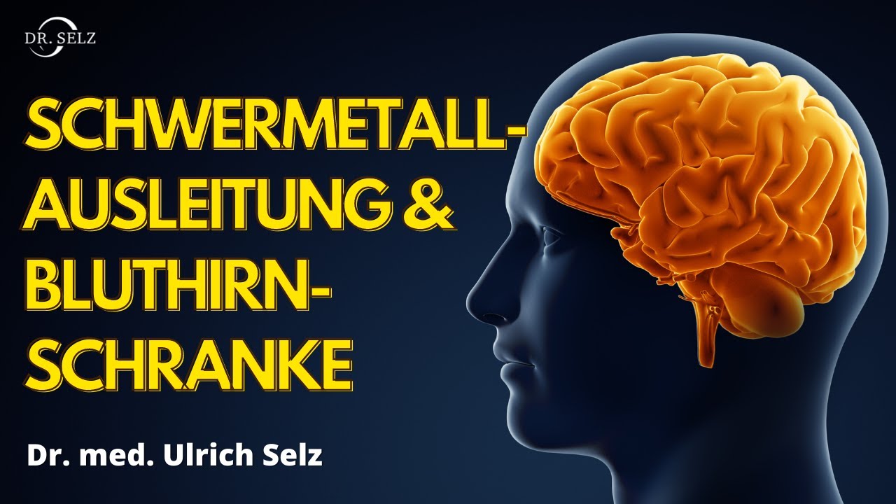 Schwermetallausleitung und Bluthirnschranke - Wann wichtig?