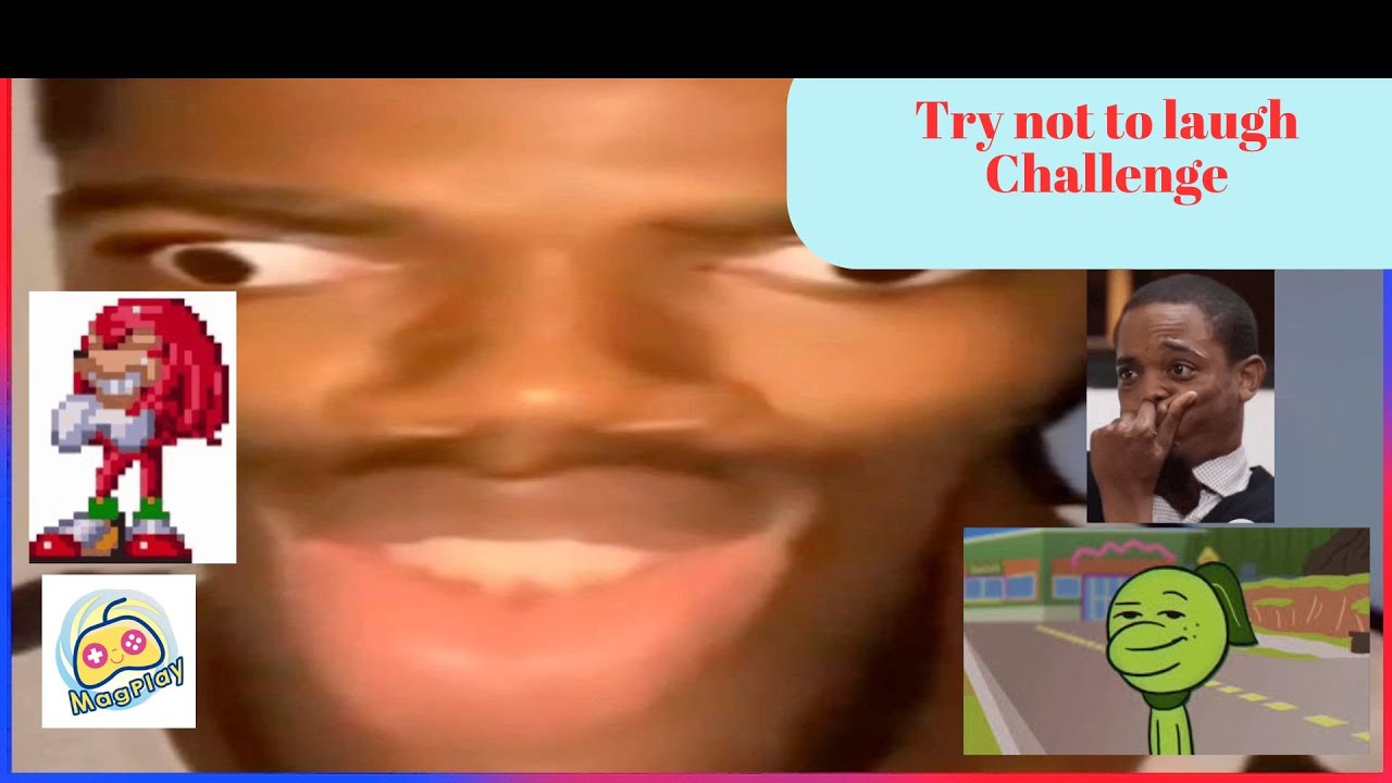Try not to Laugh Challenge