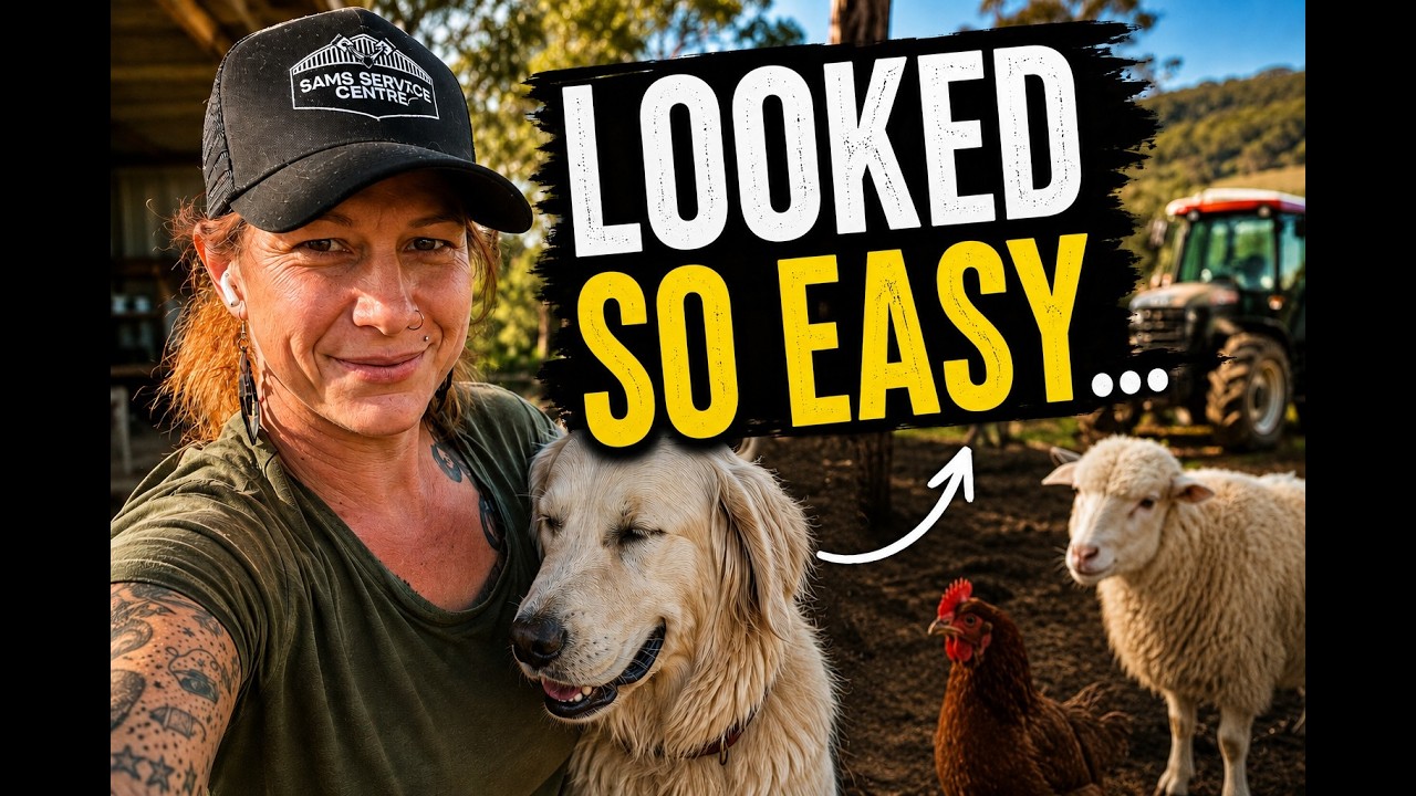 The Truth About Running a Farm Stay on a Hobby Farm