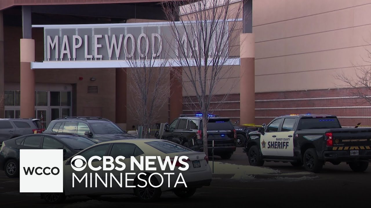 Bystanders describe chaos inside Maplewood Mall during shooting