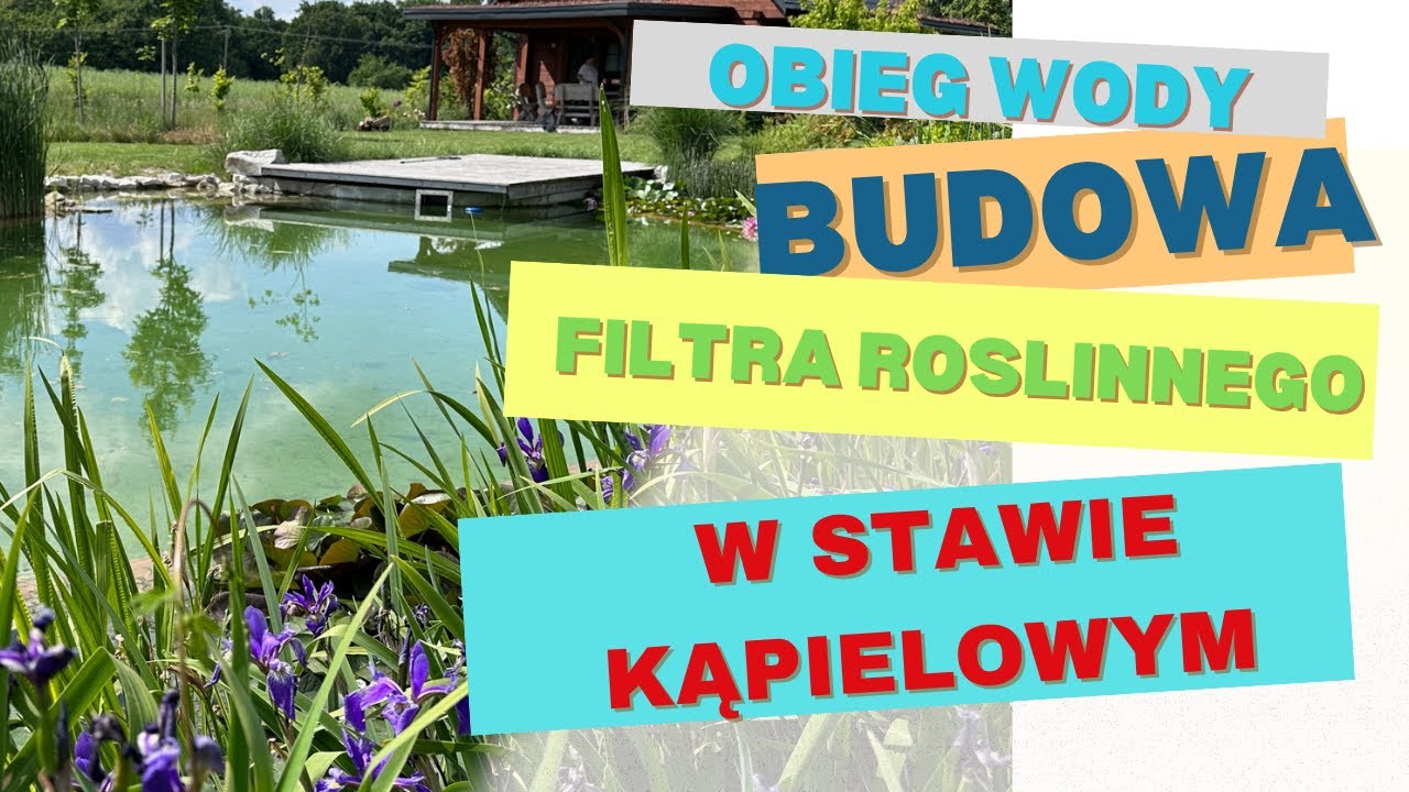Obieg wody w stawie kąpielowym. Jak budujemy filtr hydrobotaniczny.