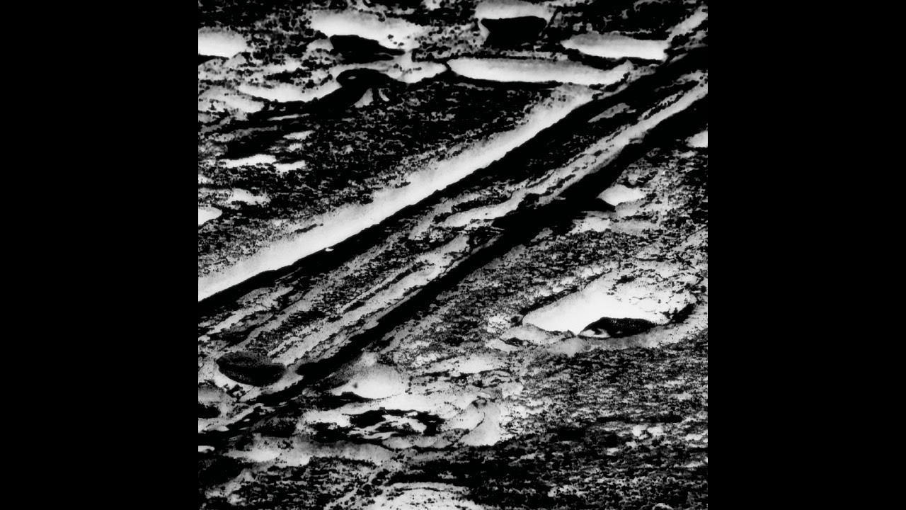 Phill Niblock - Exploratory - Arditti String Quartet