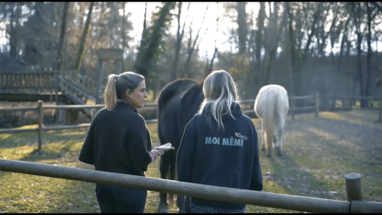 Constelaciones Emocionales con caballos