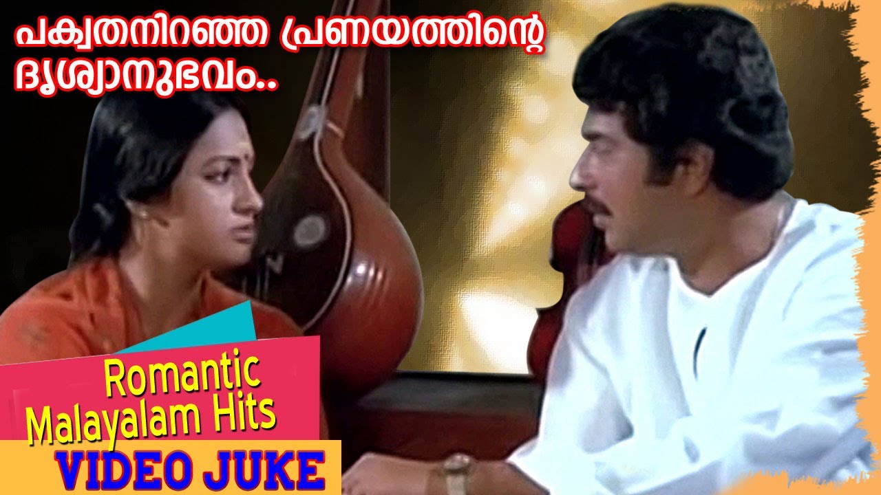 പൊന്നന്തിയിൽ പൂനിലാ ചിറകിൽ... | Mammotty | Seema | Malayalam Superhit Song