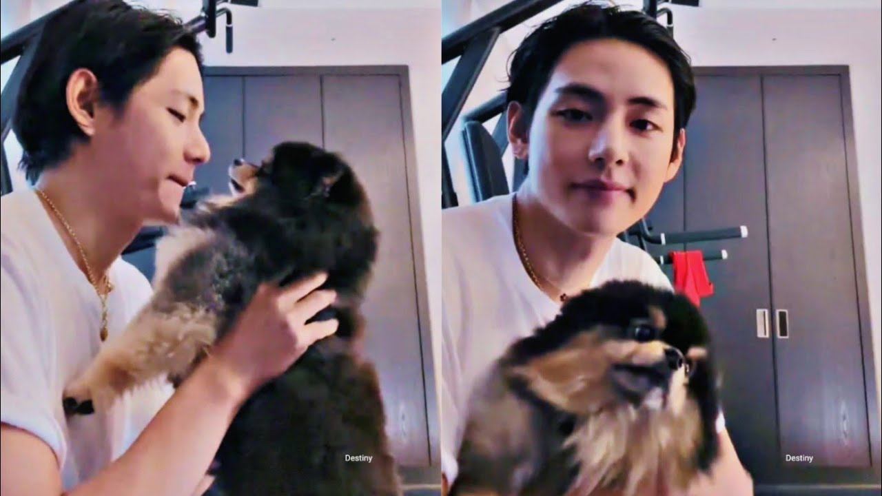 [방탄소년단 뷔] Hi 난 탄이라고해 / 뷔 위버스 라이브 with 김연탄