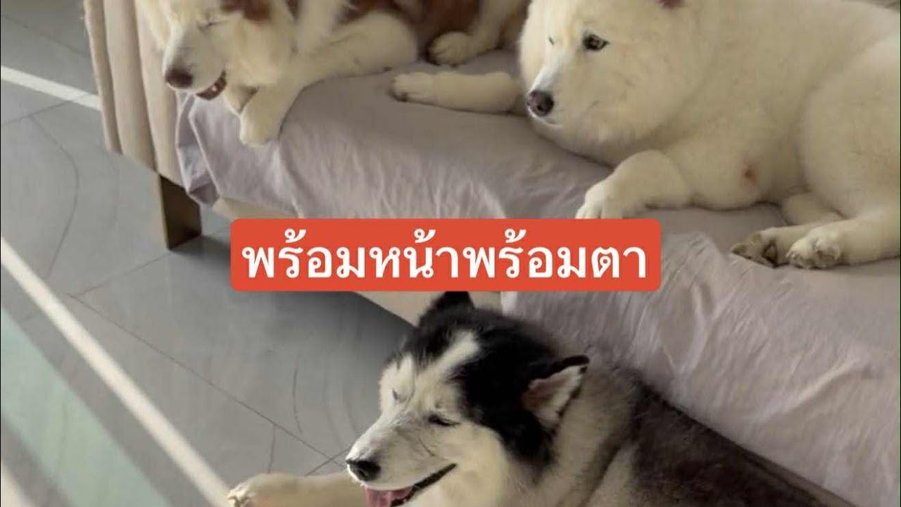 เมื่อชีวิตตอนเช้ามันสงบสุขจนเกินไป