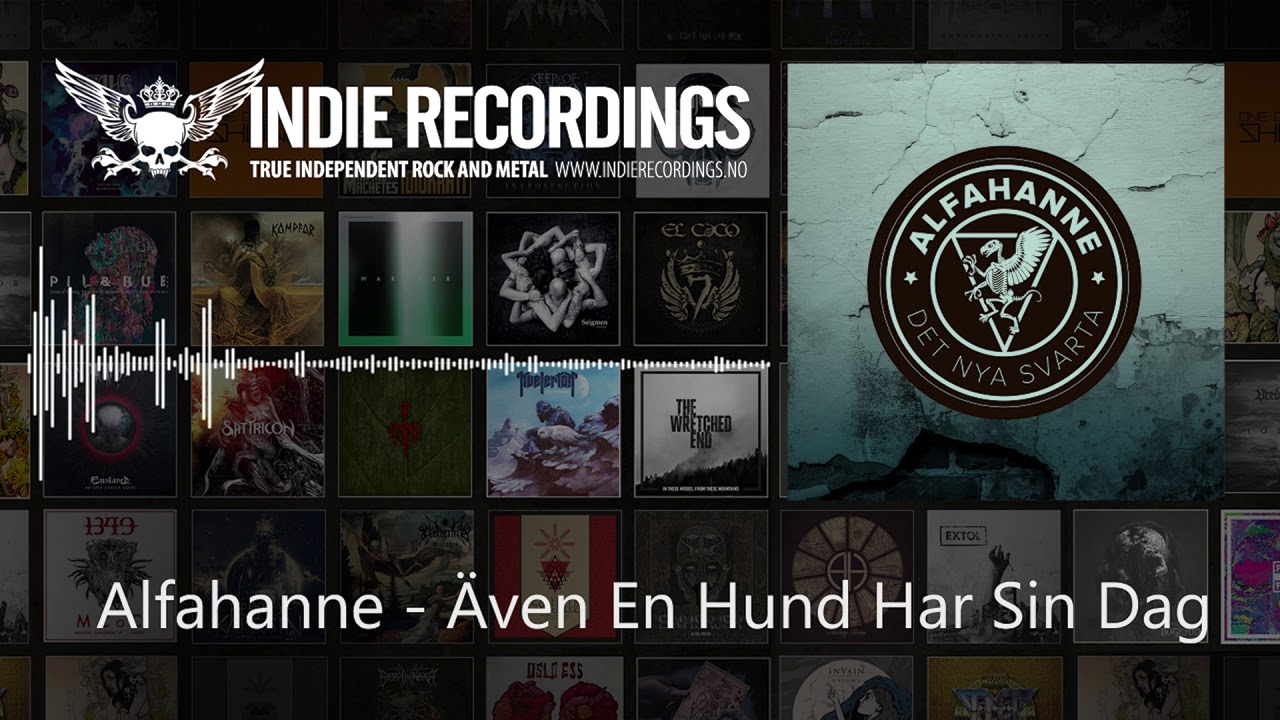 Alfahanne - &Auml;ven En Hund Har Sin Dag