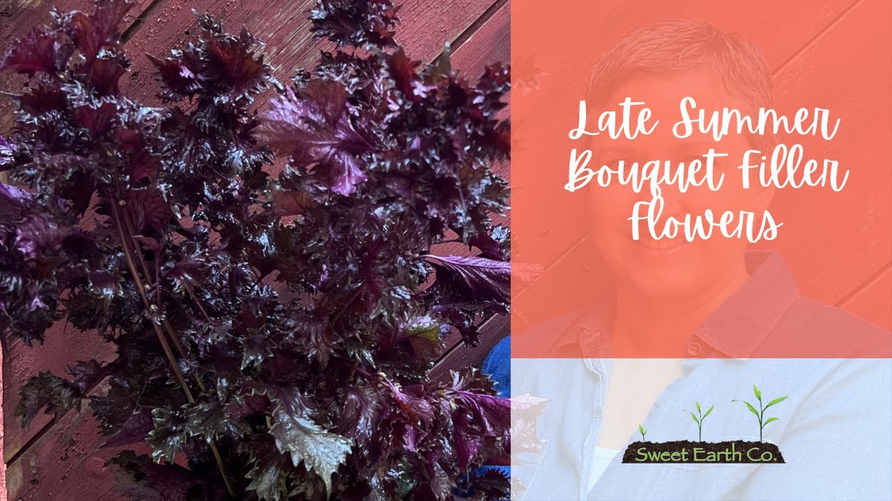 Late Summer Bouquet Flower Fillers