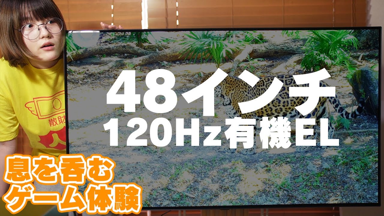 有機ELでモニター沼抜けたわ。48インチ4K120Hzのゲーミングモニター/LG OLED 48CXPJA