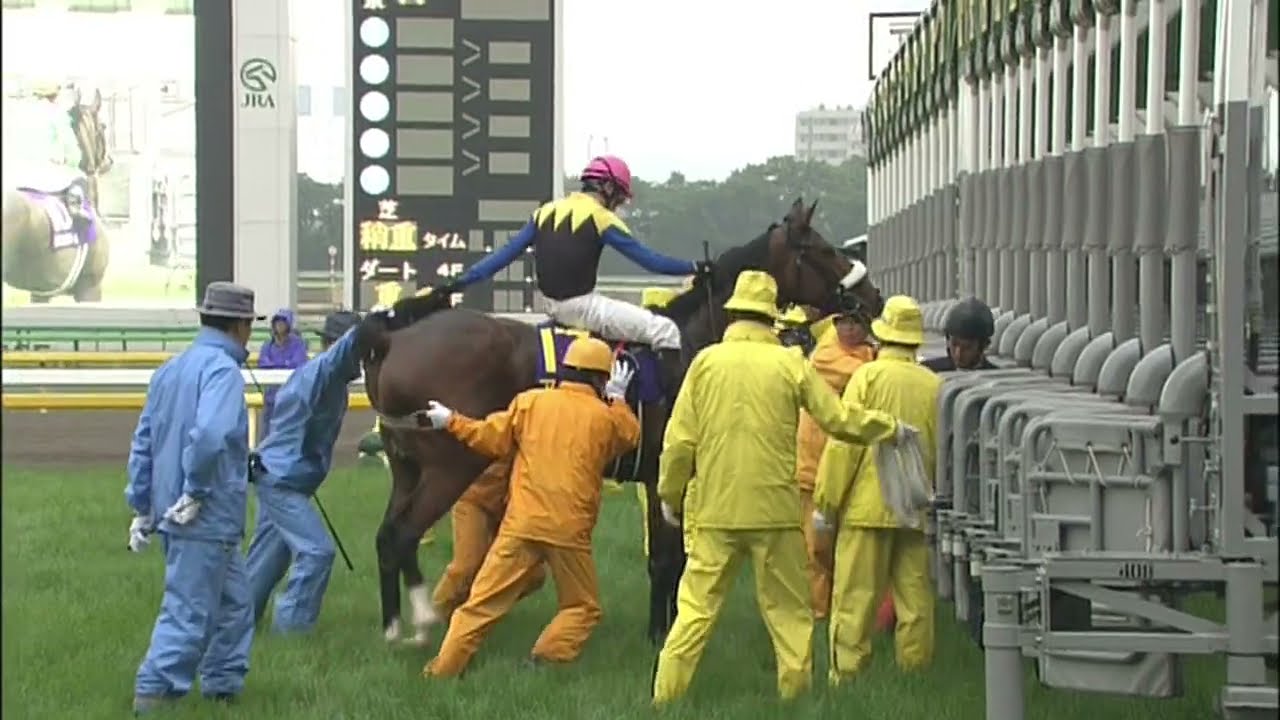 2010年オークス　アパパネ＆サンテミリオン