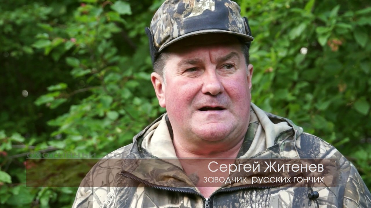 Охотничьи собаки. Сезон 2. Русская гончая