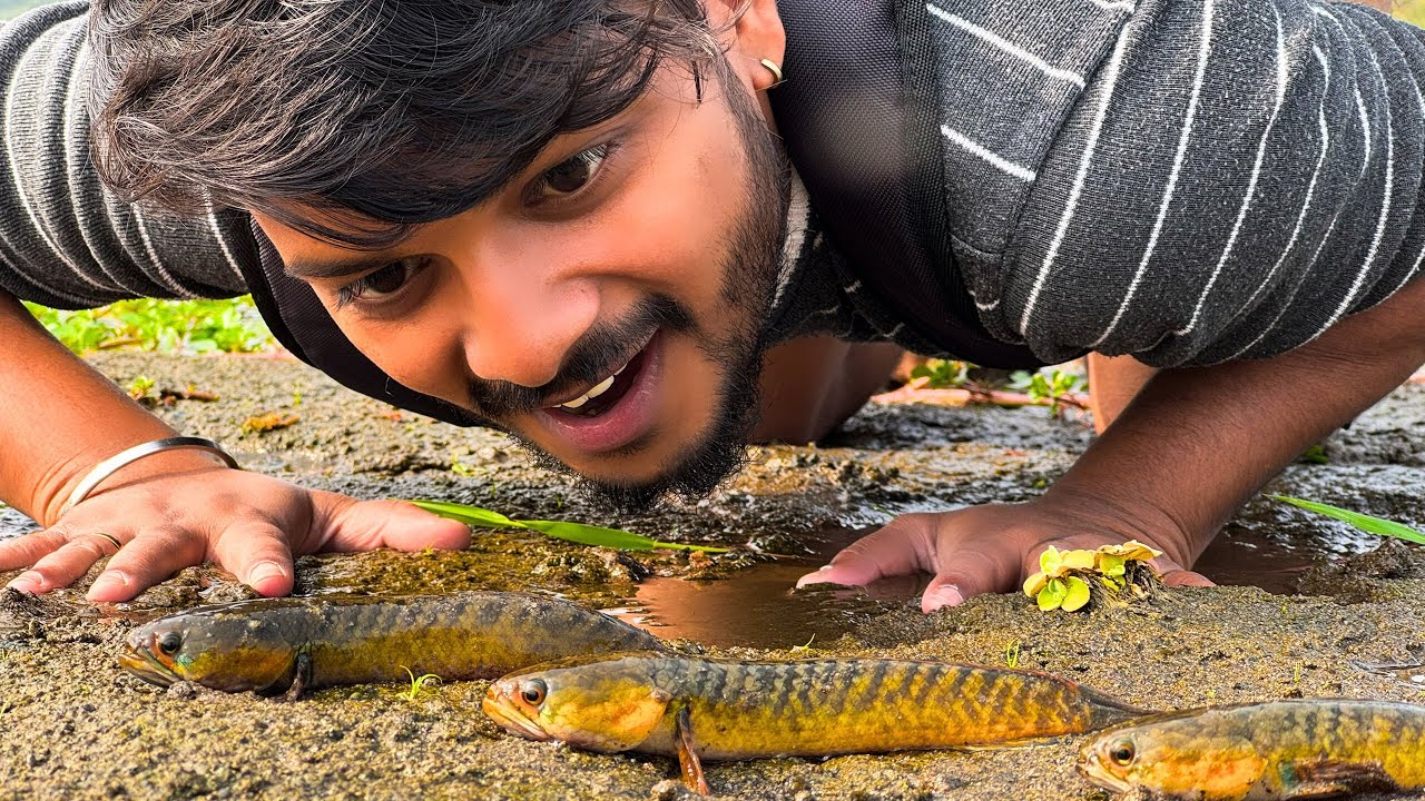 Caught Sunset Chana and Diamond Tilapia Fish😳| New Location Explored!❤️🔥