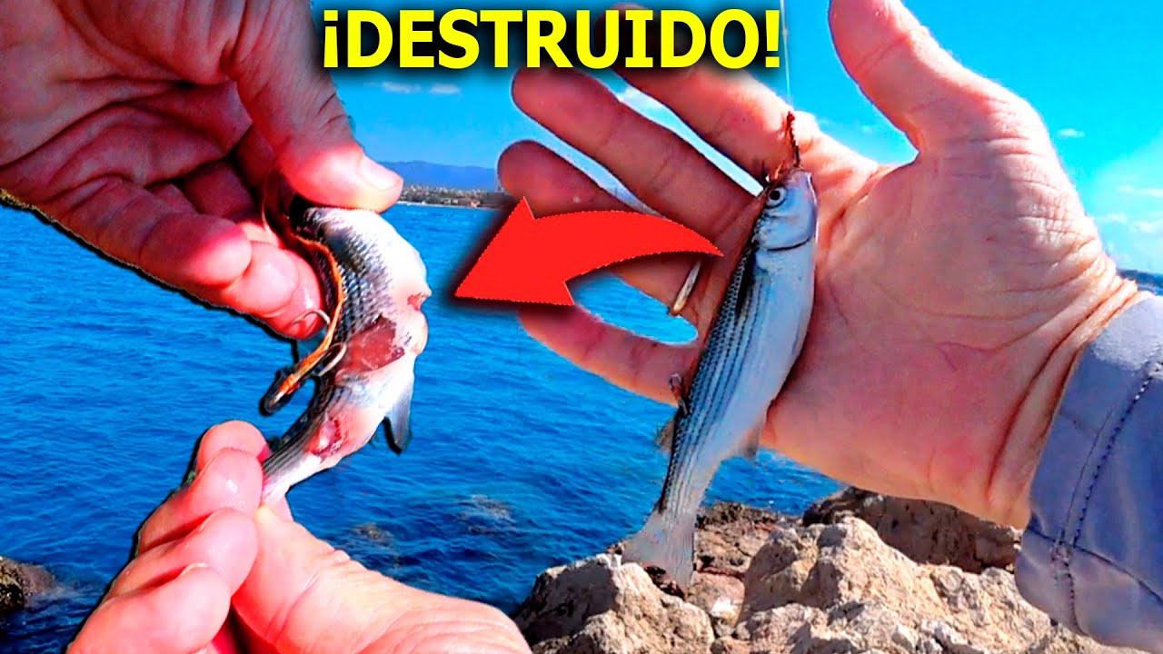 ¡¡PESCA al VIVO!! En el ESPIGON de la MU3RT3... Doble STRIKE y CAPTURA AL VIVO IMPENSABLE...