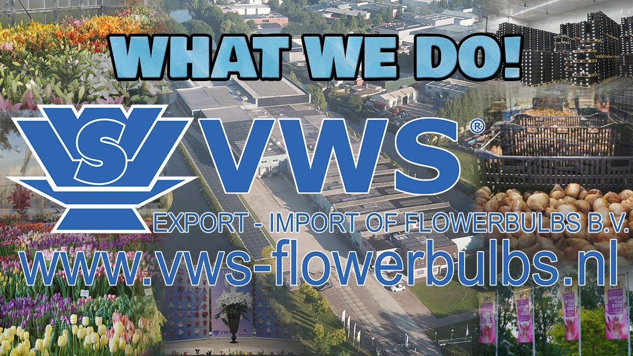 VWS Export Import of Flowerbulbs