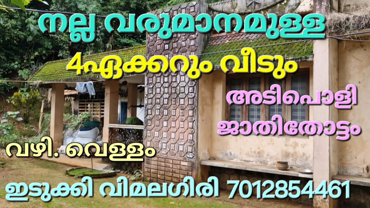 നല്ല വരുമാനമുള്ള 4ഏക്കറും വീടും. അടിപൊളി ജാതിതോട്ടം. ഒരു സൈഡ് തോട്. 1000കൊടി. തെങ്ങ്. ഇടുക്കി 👇