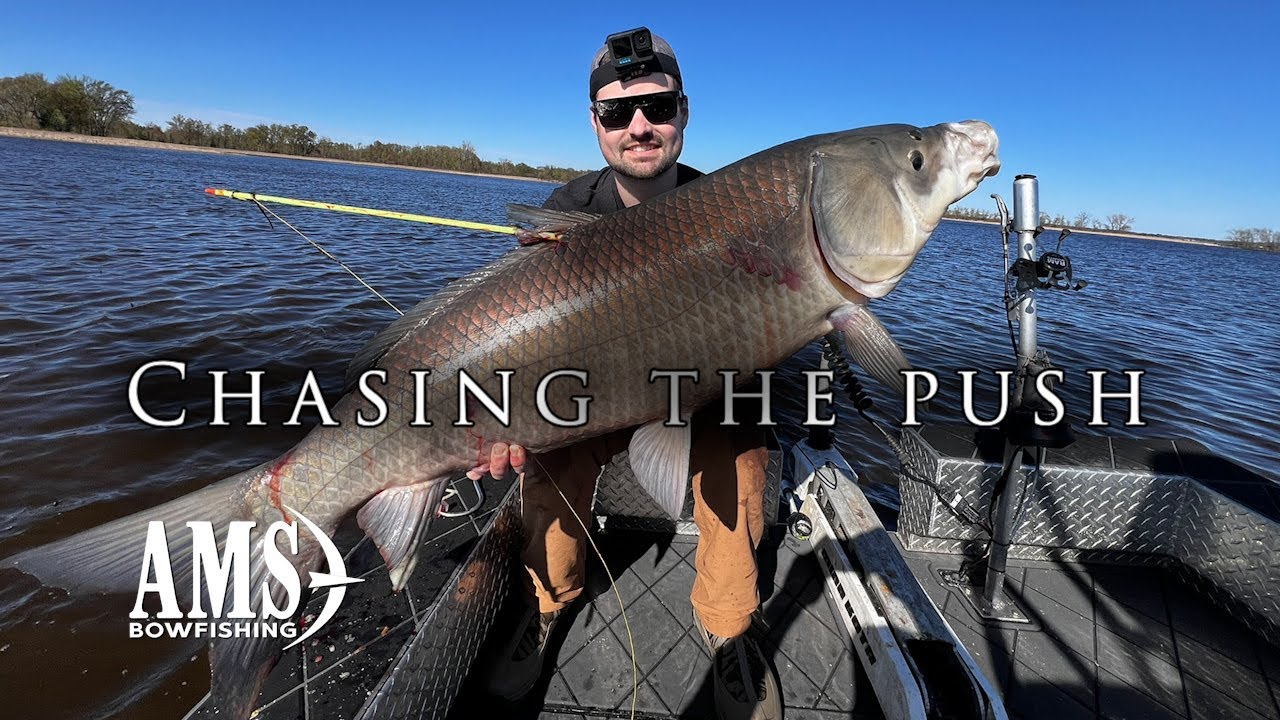 Chasing The Push AMS Bowfishing Below the H20