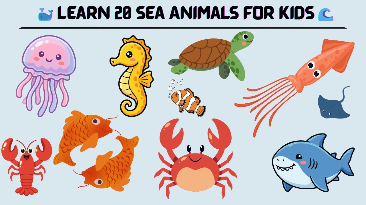 🐳 Learn 20 Sea Animals for Kids 🌊 | Ocean Animals Names in English | Fun Preschool Video
