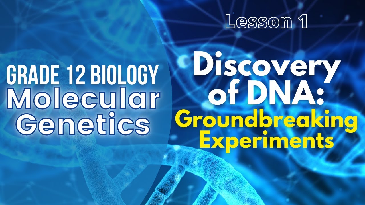Lesson 1 | Discovery of DNA: Groundbreaking Experiments