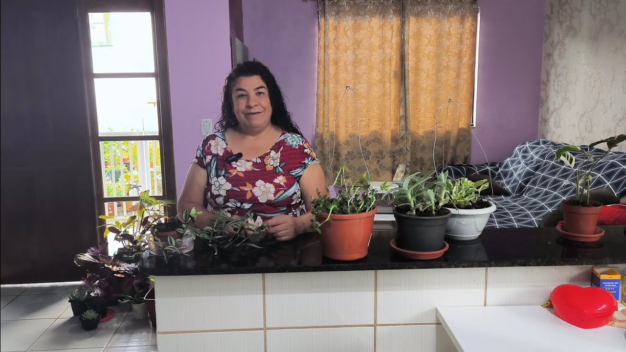 5 Plantas Pendentes Incríveis Para Enfeitar a Casa!🌷🌷