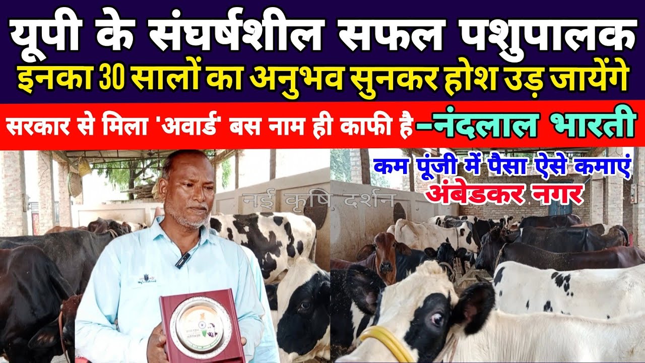 30 सालों से सफलता पूर्वक डेरी,अनुभव सुनकर होश उड़ जायेंगे/dairy farm ambedkar nagar/hf farm up ||