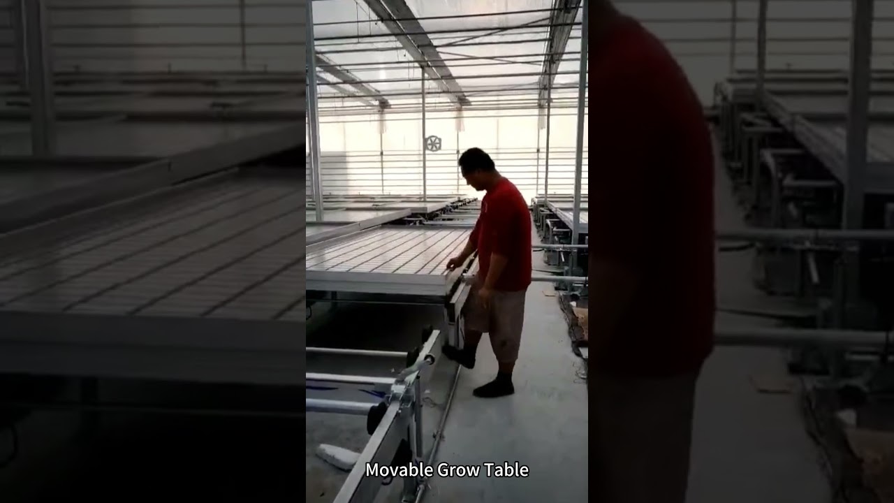 Movable Ebb and Flow Grow Table Rolling Bench