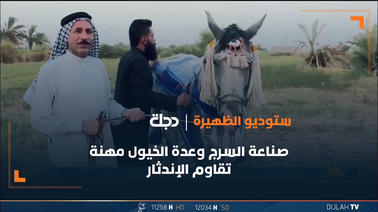 صناعة السرج وعدة الخيول مهنة تقاوم الإندثار