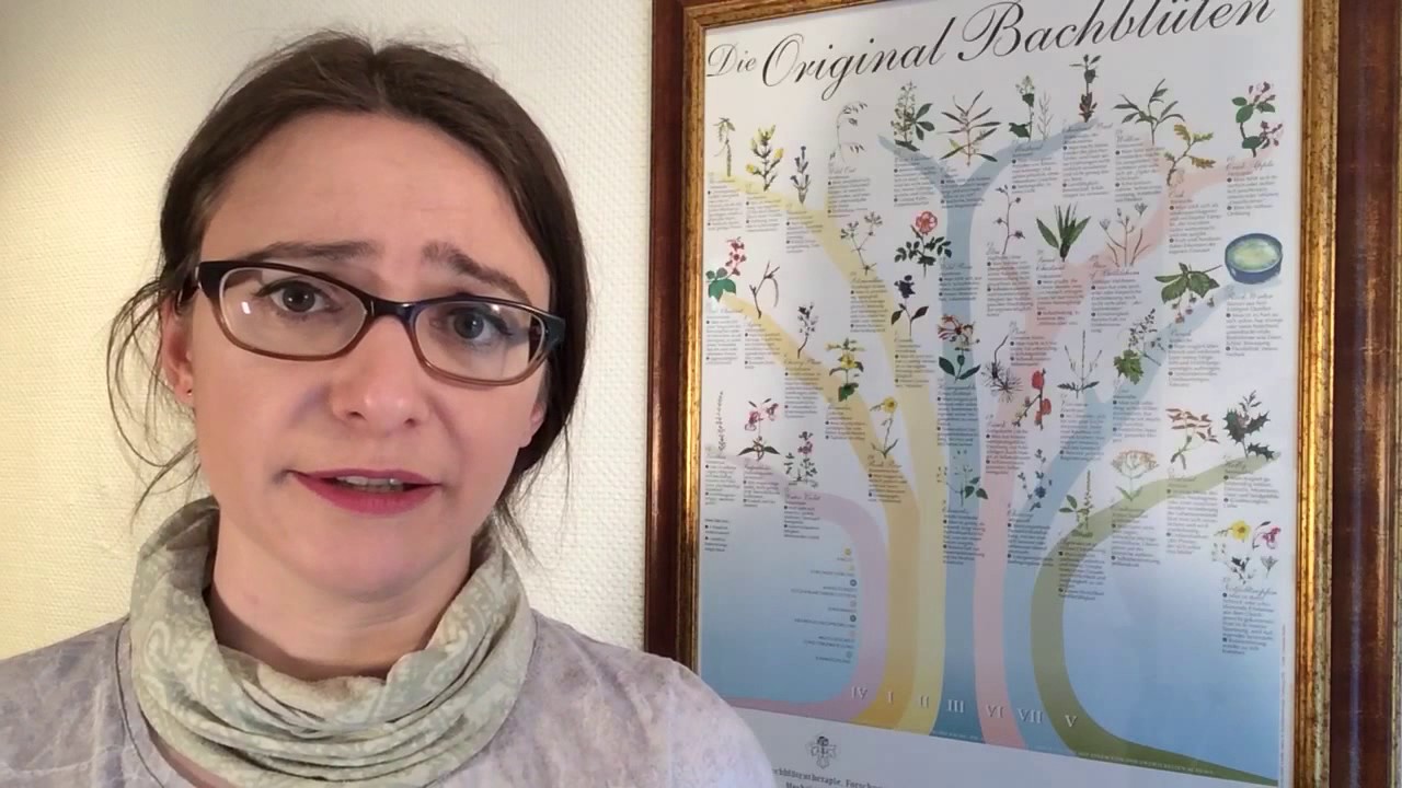 Bachbl&uuml;te 2 Aspen - Schutzschild bei unerkl&auml;rlichen &Auml;ngsten #bachbl&uuml;ten #parkapotheke