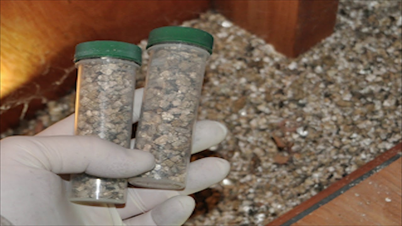 Vermiculite Great Insulation:  Asbestos Safety, What does Vermiculite Look Like