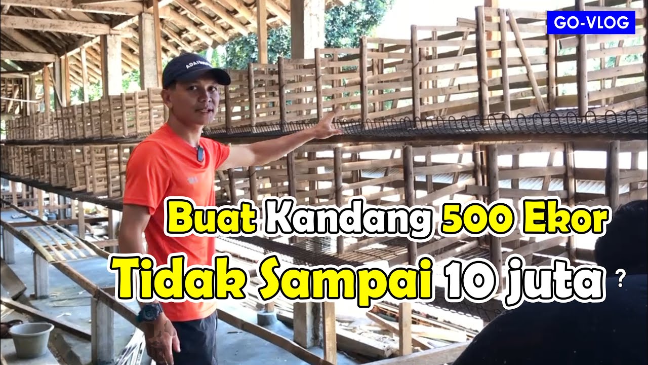 STRATEGI MEMINIMALISIR MODAL UNTUK MEMBUAT KANDANG, SOLUSI HEMAT ❗❗