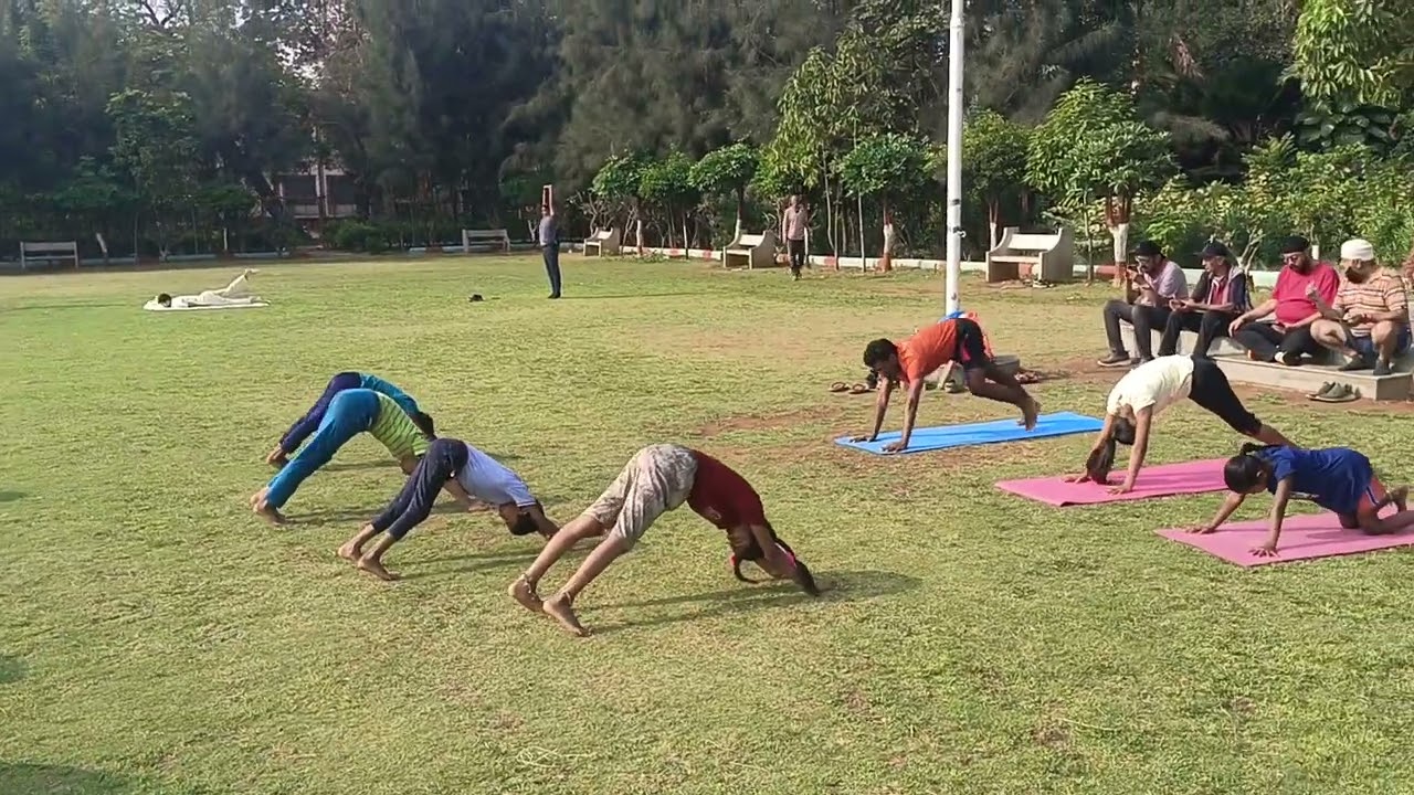 SUNS SUN SALUTATIONS TO SHINING 
