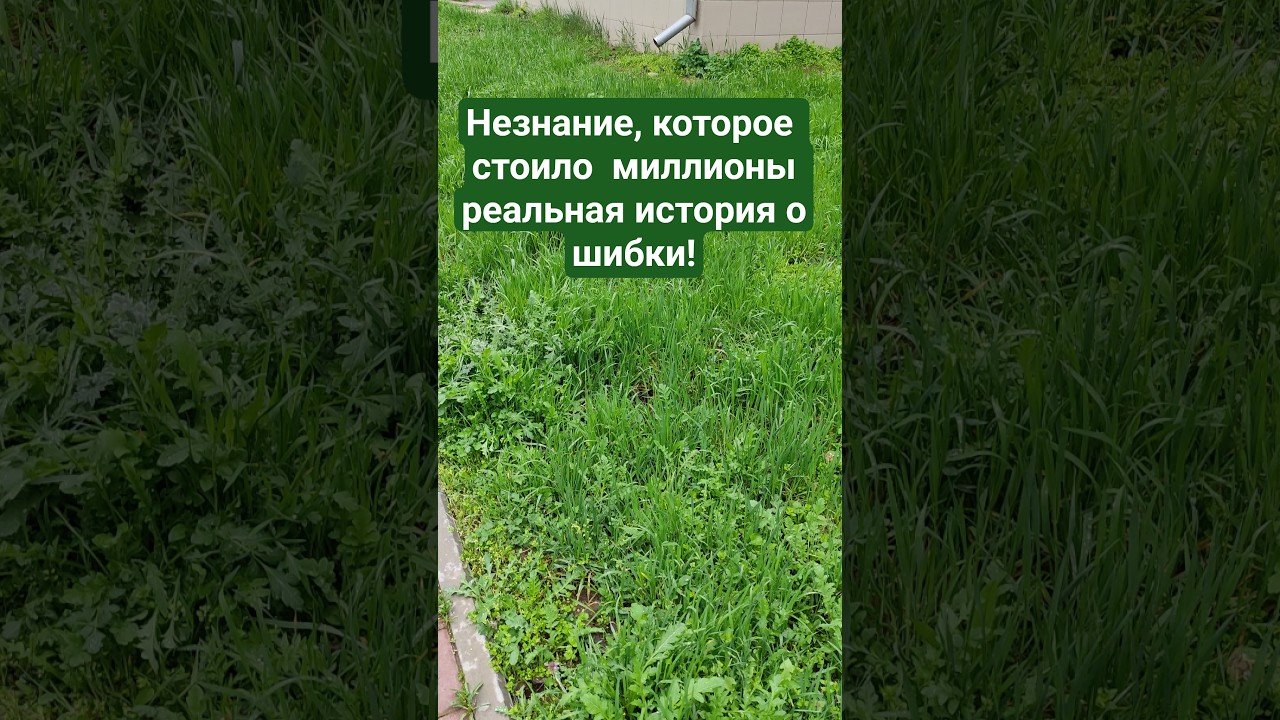Незнание,&nbsp;которое&nbsp;стоило&nbsp; миллионы реальная&nbsp;история&nbsp;ошибки! #сад #дизайн
