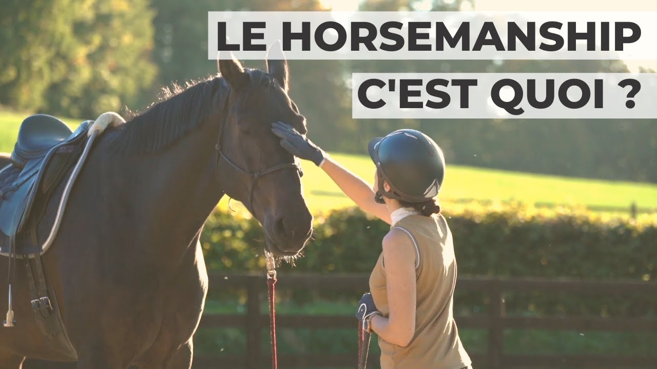 Horsemanship VS Etholgie ? Renforcement positif VS négatif ?
