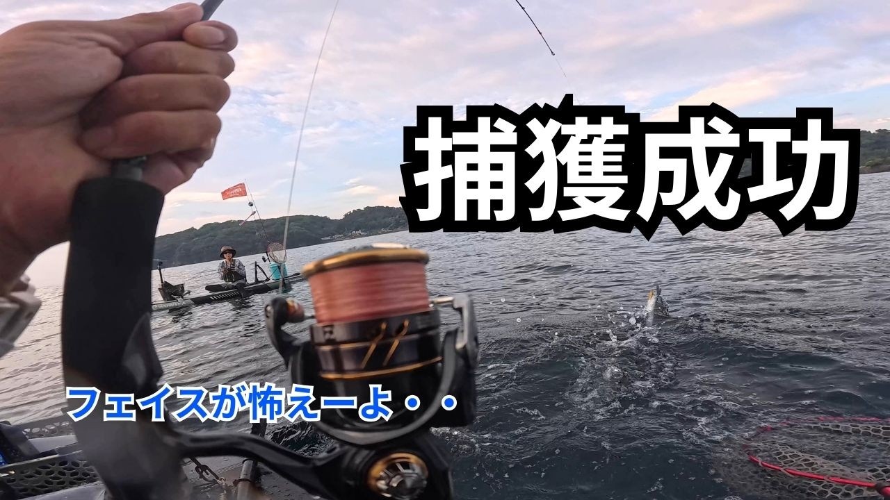 【一年越しリベンジ】西湘の夏はトップゲームで青物連発‼️　サップフィッシング　JAPANESE BIG NEEDLEFISH
