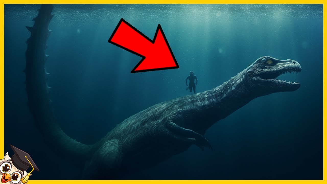 20 Creature Marine Misteriose Filmate Dalle Telecamere