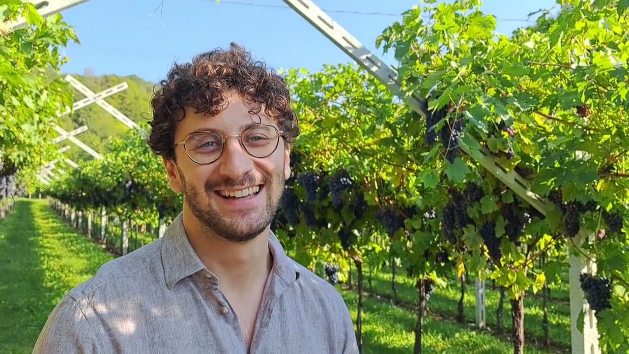 Albino Armani, Veneto: Slow Wine 2024