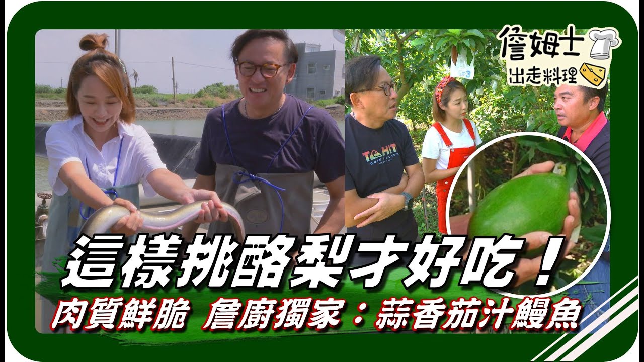 🗺《跟著姆士出遊去》酪梨品種數十種！一次搞懂口感差異 這樣挑酪梨才好吃！詹廚獨家：蒜香茄汁鰻魚 肉質鮮脆到爆！