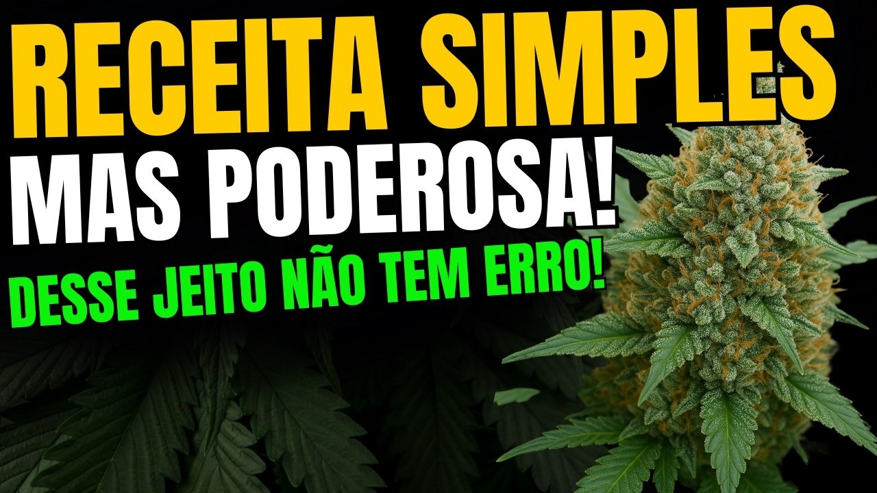 Substrato Org&acirc;nico, Solo Vivo, Plantas Companheiras e Controle de Pragas no Outdoor | Aula Completa